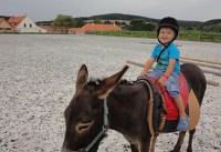 /album/fotogalerie-farma-blanik-zabavni-park-pro-deti/farma-blanik-ponici22-jpg/